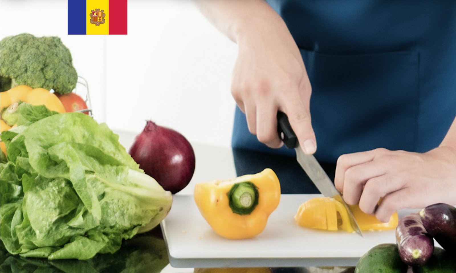 Curs Manipulador d’Aliments (CATALÀ)
