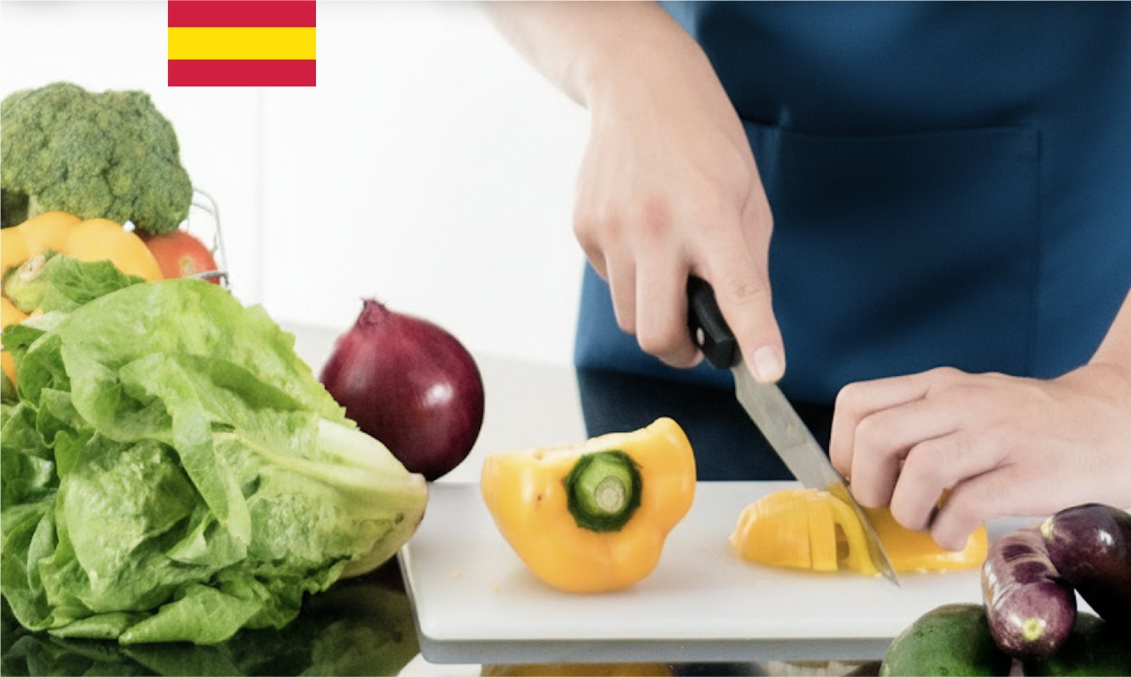 Curs Manipulador d’Aliments (ESPAÑOL)